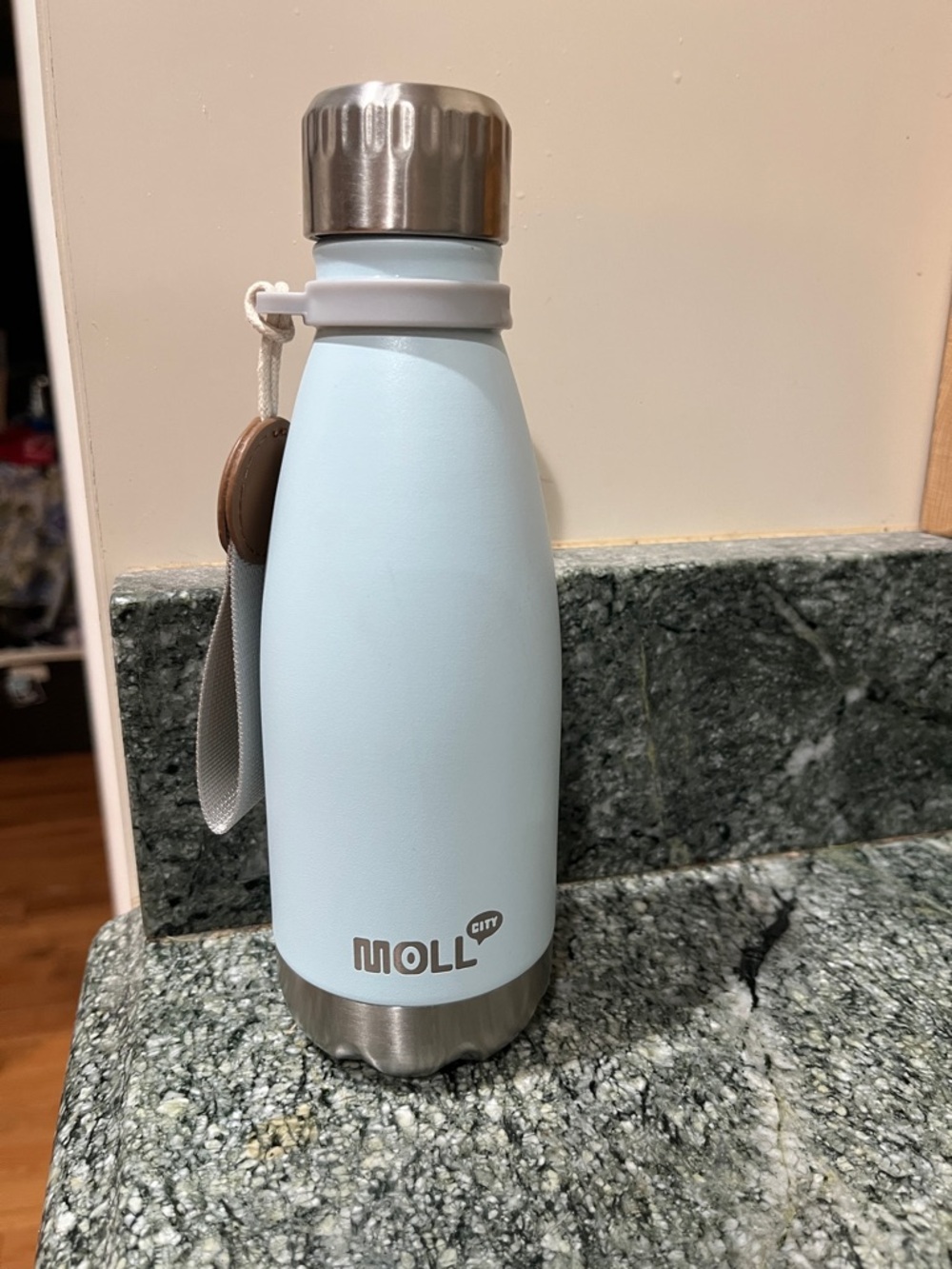 City Light Blue Insulated Water Bottle with Carry Strap